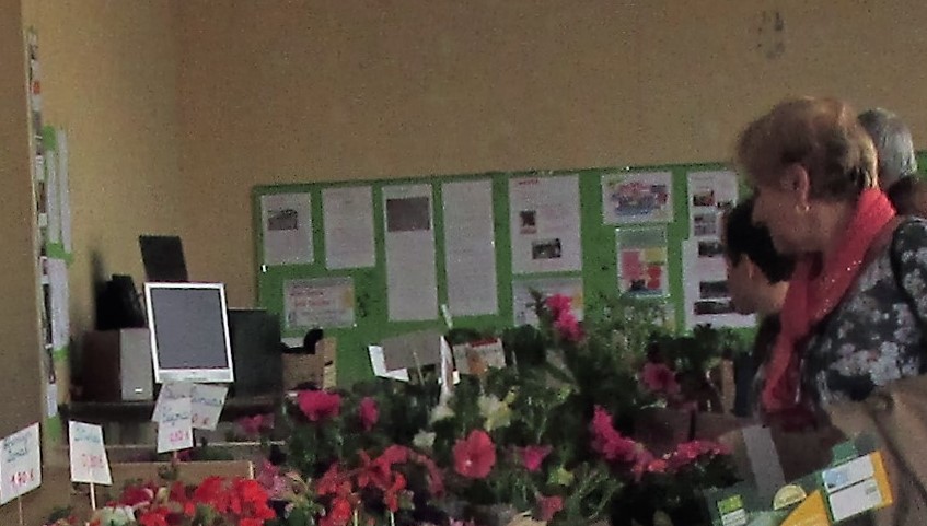Des fleurs et des informations